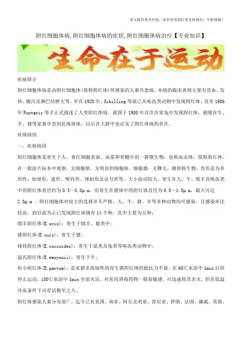 附红细胞体病,附红细胞体病的症状,附红细胞体病治疗【专业知识】