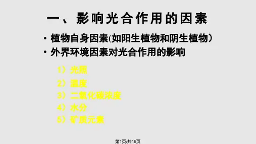高一生物影响光合作用的因素解读PPT课件