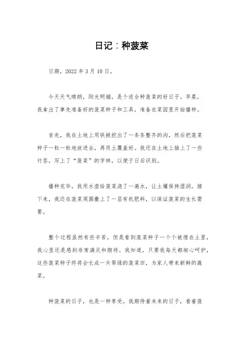 日记：种菠菜
