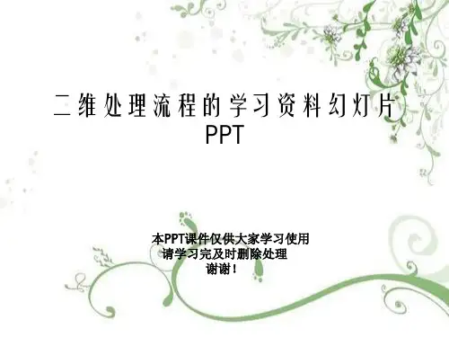 二维处理流程的学习资料幻灯片PPT