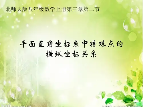 北师大版数学八上3.2 平面直角坐标系(第2课时)特殊点的横纵坐标关系 课件(共14张PPT)