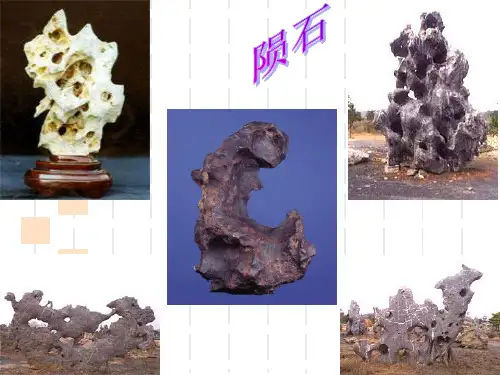 北师大丑石课件