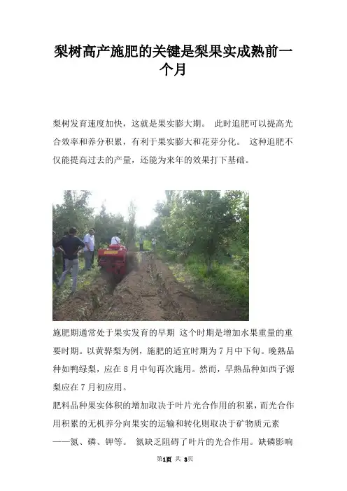 梨树高产施肥的关键是梨果实成熟前一个月