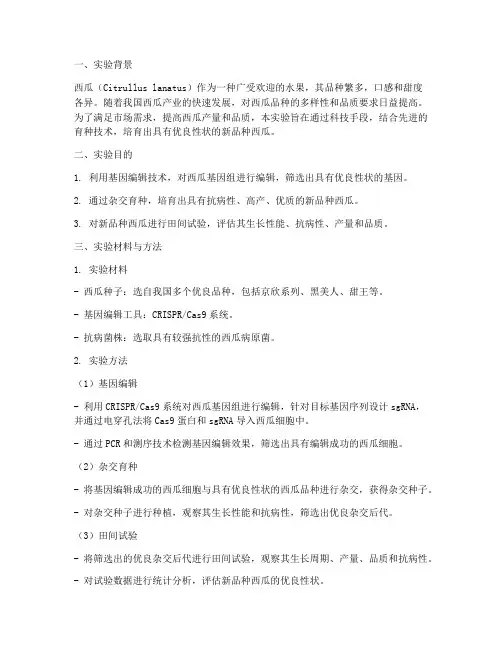 科技西瓜育种实验报告