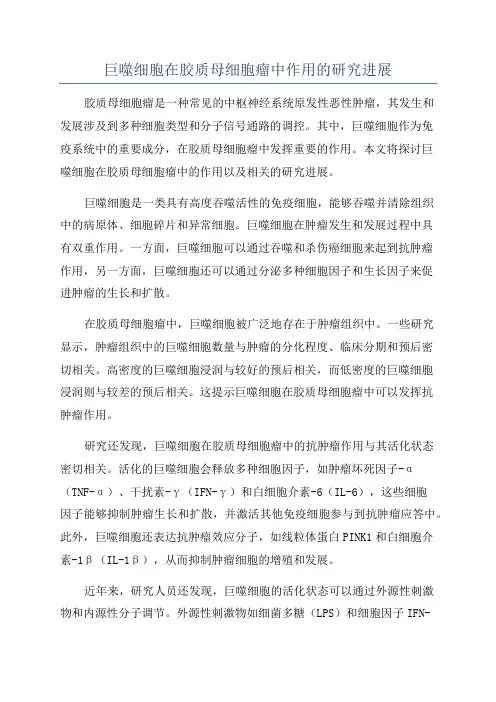 巨噬细胞在胶质母细胞瘤中作用的研究进展