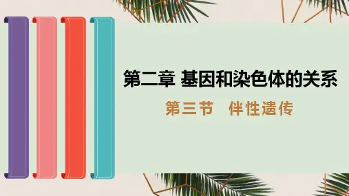伴性遗传公开课PPT-高中生物人教版必修二 (2)