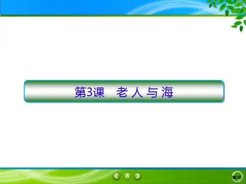 2019-2020学年人教版必修3 老人与海 课件(86张)