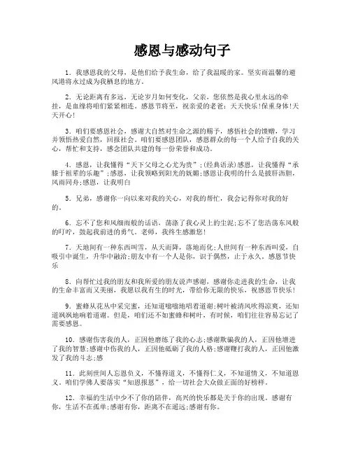 感恩与感动句子