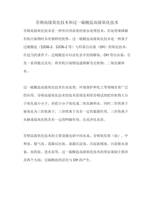 芬顿高级氧化技术和过一硫酸盐高级氧化技术