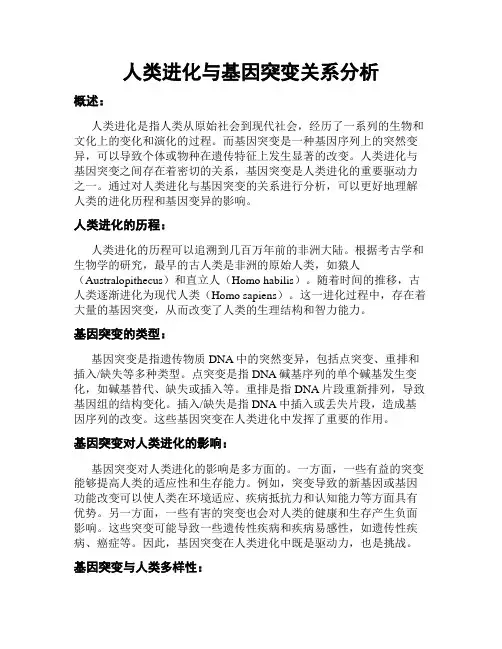 人类进化与基因突变关系分析