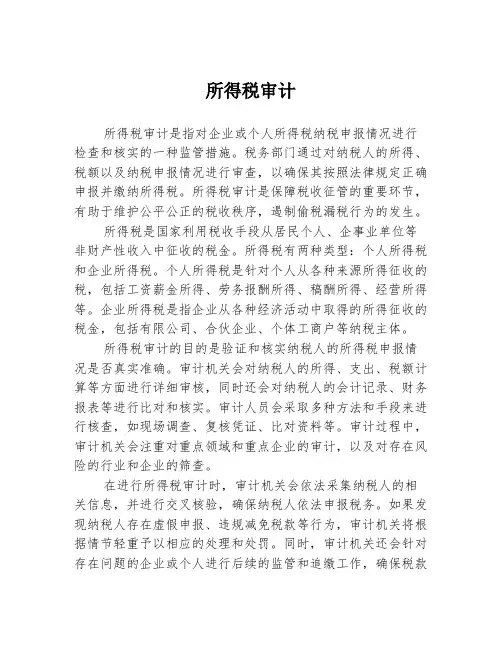 所得税审计