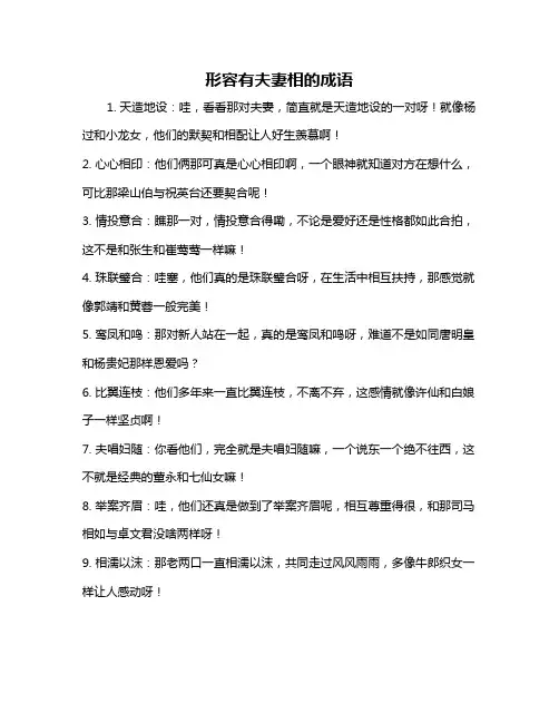 形容有夫妻相的成语