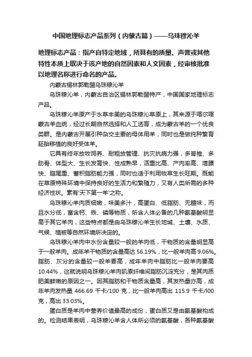 中国地理标志产品系列（内蒙古篇）——乌珠穆沁羊