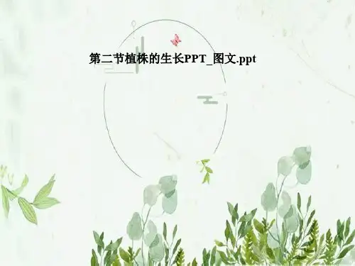 第二节植株的生长PPT_图文