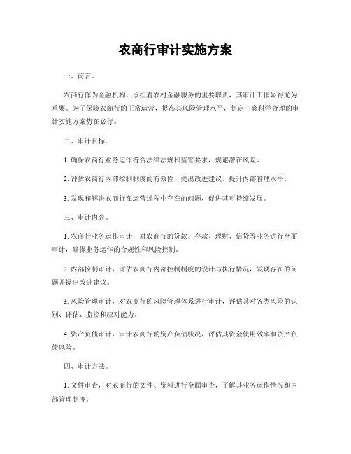 农商行审计实施方案