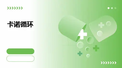 卡诺循环_精品文档