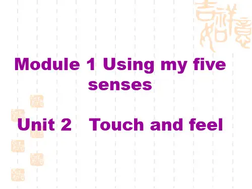 牛津上海版小学英语二年级年级下册《Unit 2 Touch and feel》ppt课件