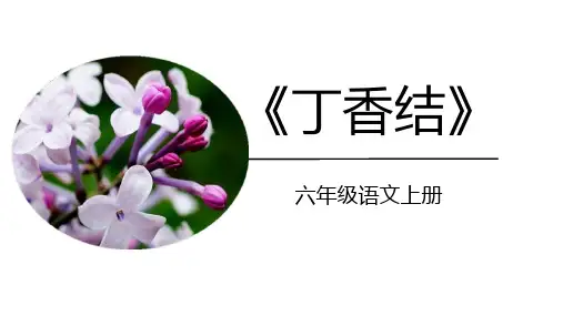 统编版语文六年级上册2《丁香结》(课件)