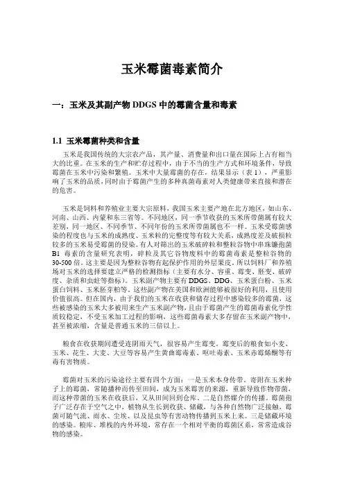 玉米霉菌毒素简介