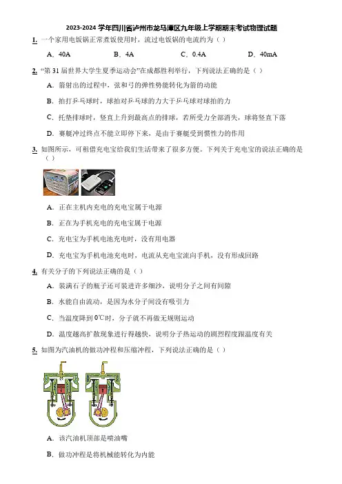 2023-2024学年四川省泸州市龙马潭区九年级上学期期末考试物理试题