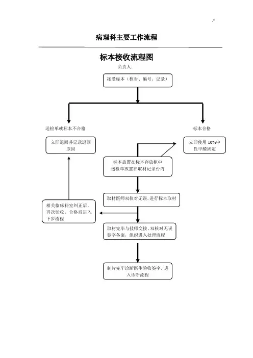 病理主要工作经过流程