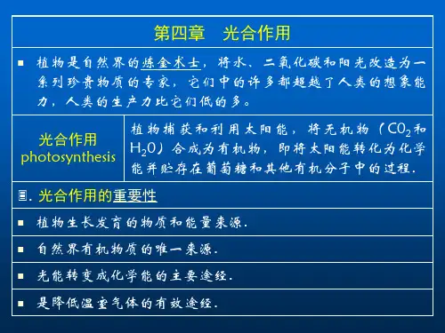 光能转变成化学能的主要途经