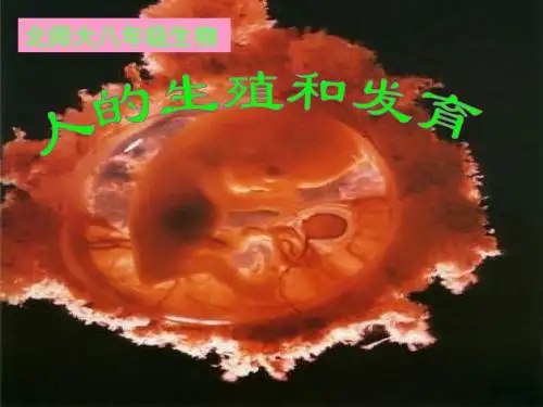 八年级生物：第19章第1节 人的生殖和发育