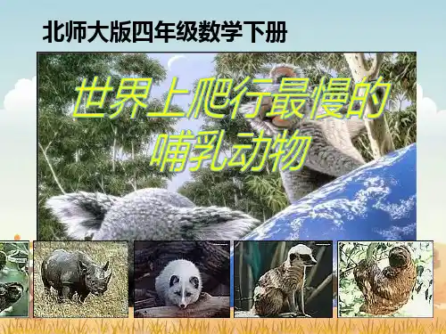 爬行最慢的哺乳动物精选教学PPT课件