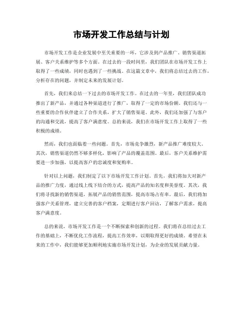 市场开发工作总结与计划