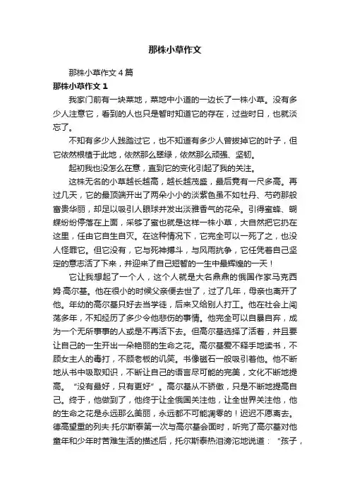 那株小草作文4篇