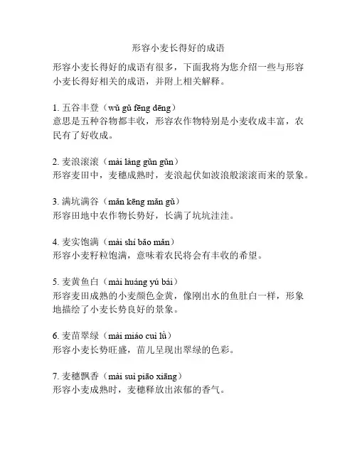 形容小麦长得好的成语