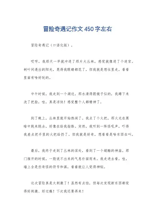 冒险奇遇记作文450字左右