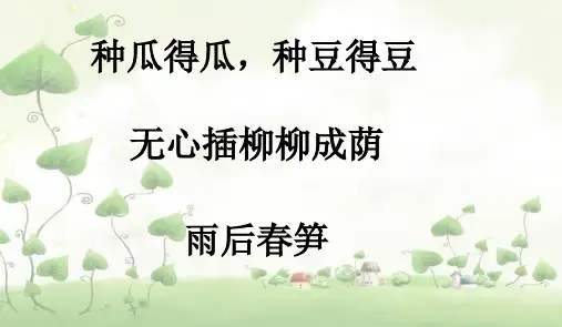 (五下)科学优秀课件-2.7 落地生根 ｜冀教版 PPT(17页)