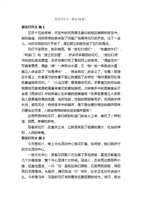 看花灯作文（精选20篇）