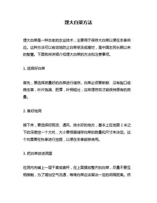 埋大白菜方法