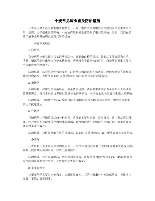 小麦常见病虫害及防治措施 3