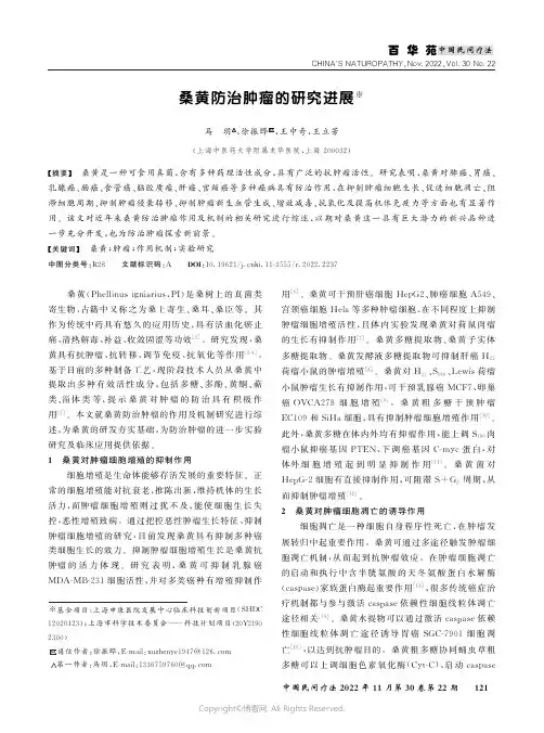 桑黄防治肿瘤的研究进展