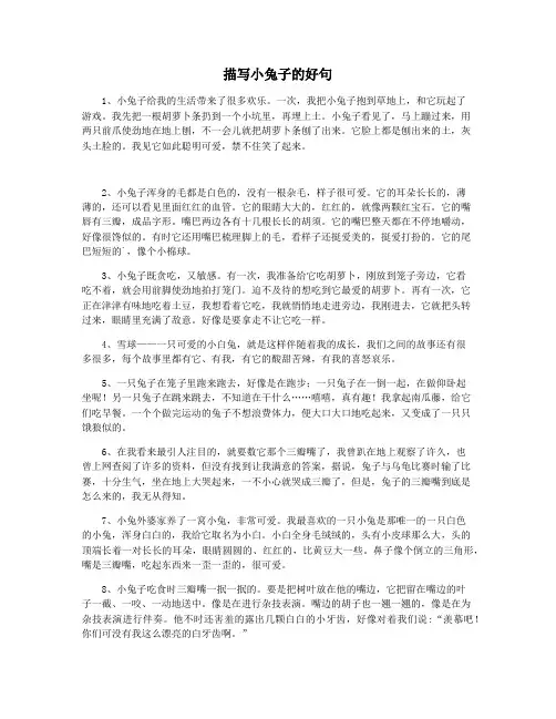 描写小兔子的好句
