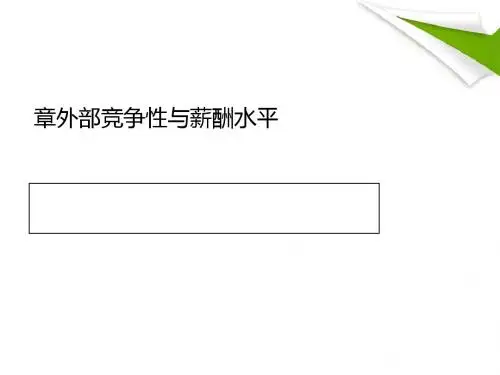 外部竞争性与薪酬水平(ppt36张)