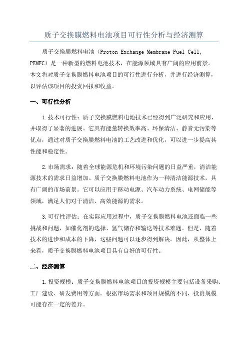 质子交换膜燃料电池项目可行性分析与经济测算