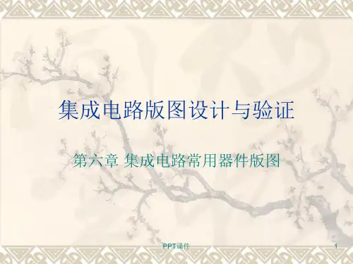 集成电路常用器件版图  ppt课件
