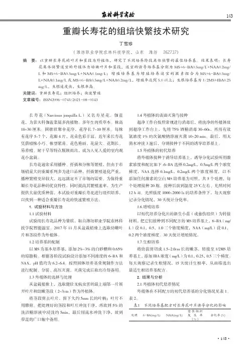 重瓣长寿花的组培快繁技术研究