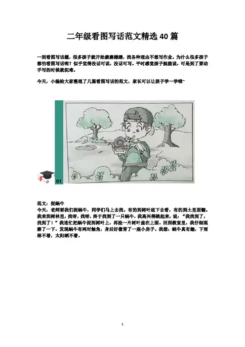二年级看图写话范文精选38篇