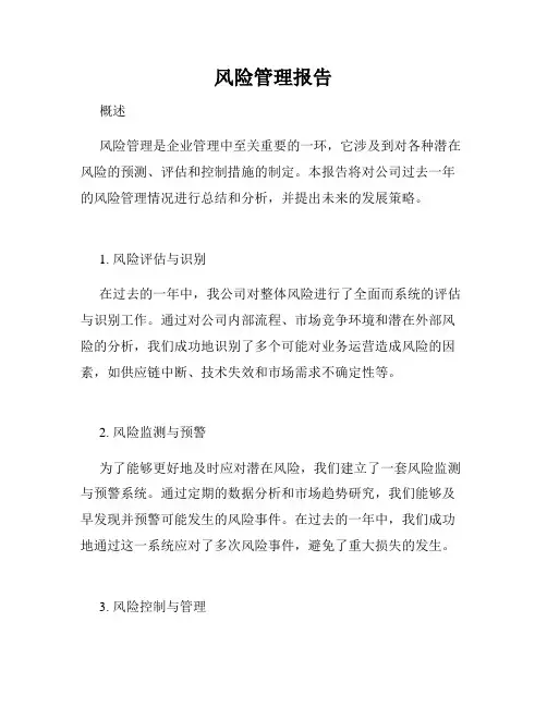 风险管理报告