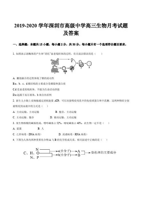 2019-2020学年深圳市高级中学高三生物月考试题及答案