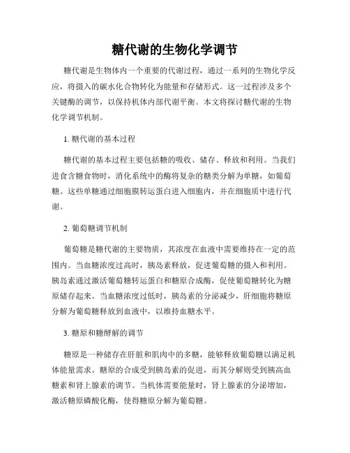 糖代谢的生物化学调节