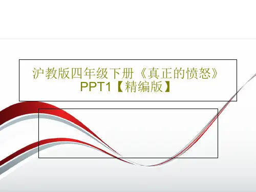 沪教版四年级下册《真正的愤怒》PPT1【精编版】共19页文档