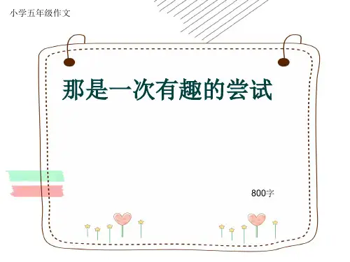 小学五年级作文《那是一次有趣的尝试》800字(共11页PPT)