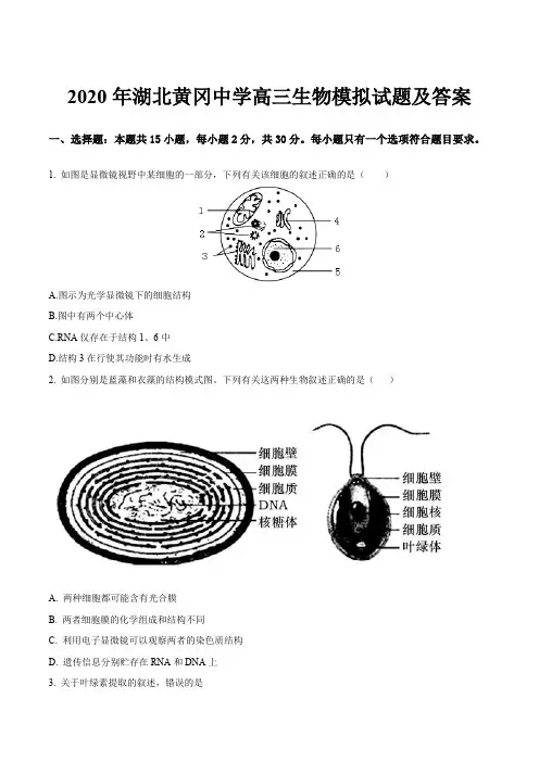 2020年湖北黄冈中学高三生物模拟试题及答案