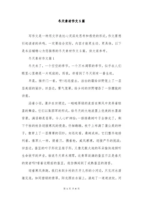 冬天素材作文5篇